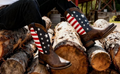 Men's American Boots